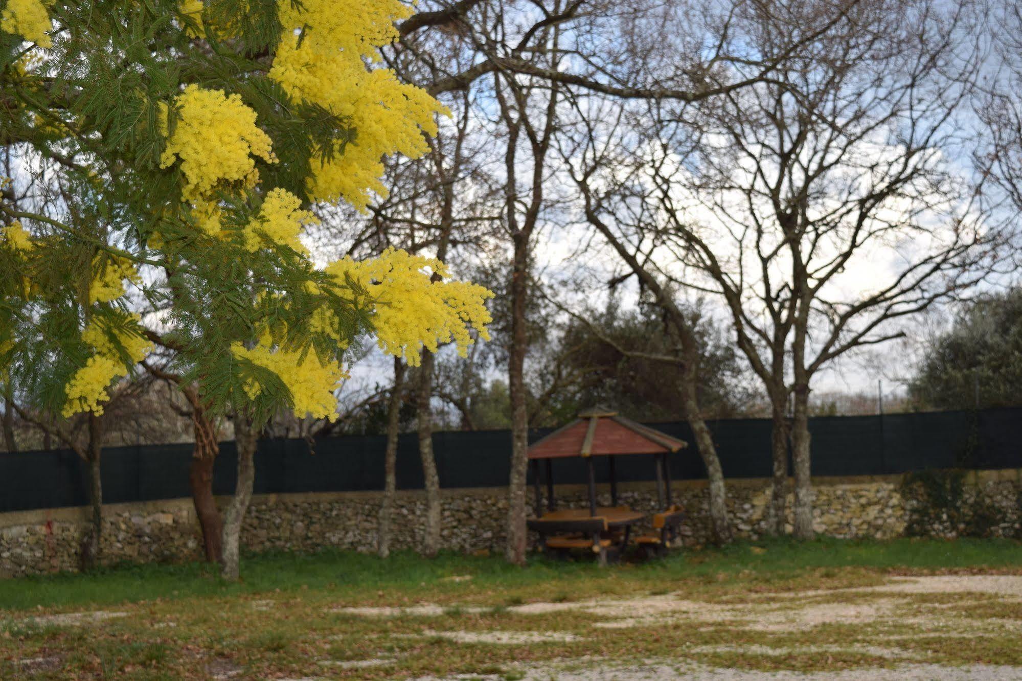 Villaggio Camping Bosco Selva Alberobello Exterior foto
